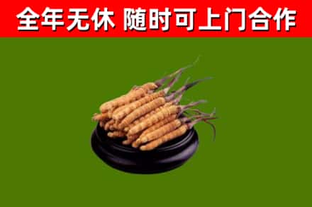 隆阳区烟酒回收冬虫夏草.jpg